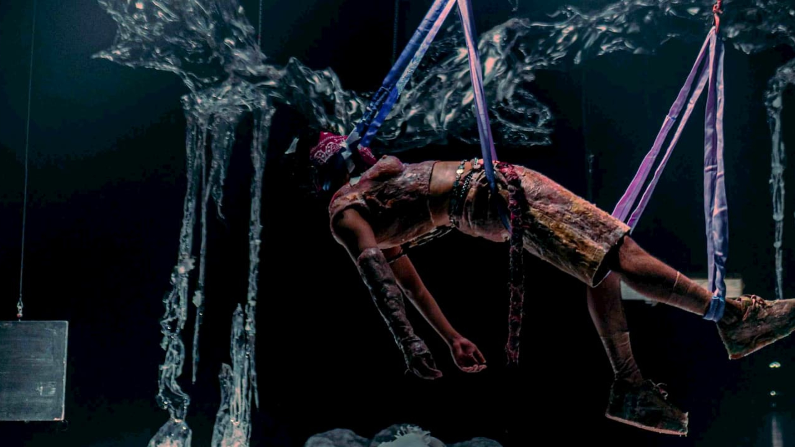 dancajardinsbombarda