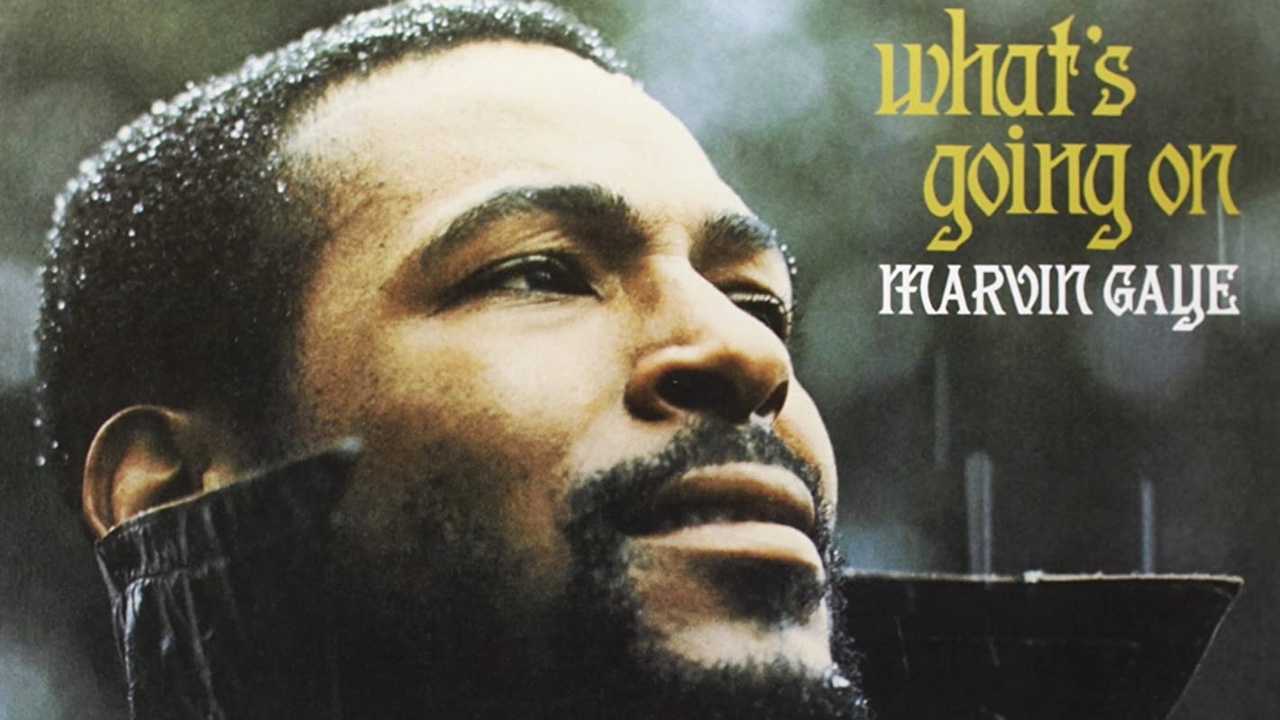 marvin-whats