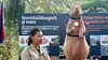 Roedor herói com estátua no Camboja